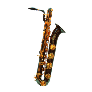 BS500LG-1000R(cancel)