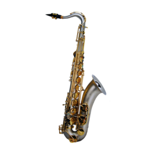 TS500SG 次中音薩克斯