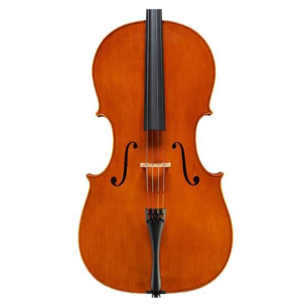 Amati-Cello(cancel)