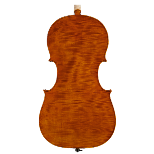 Amati-Cello(cancel) - Image 2