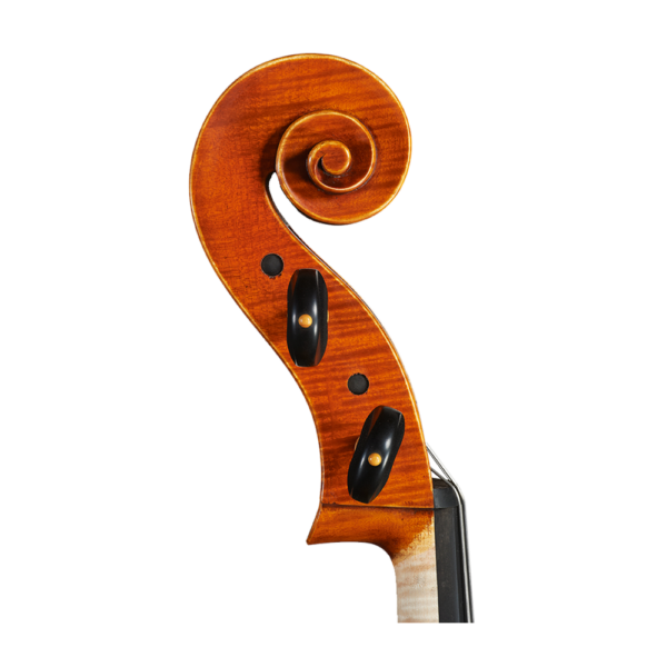 Amati-Cello(cancel) - Image 3