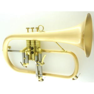 CFL-6200-GSS-1000 (cancel)