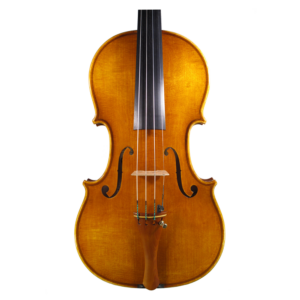 Violin-2012 小提琴  (cancel)