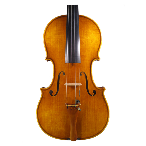 Violin-2012 小提琴  (cancel)